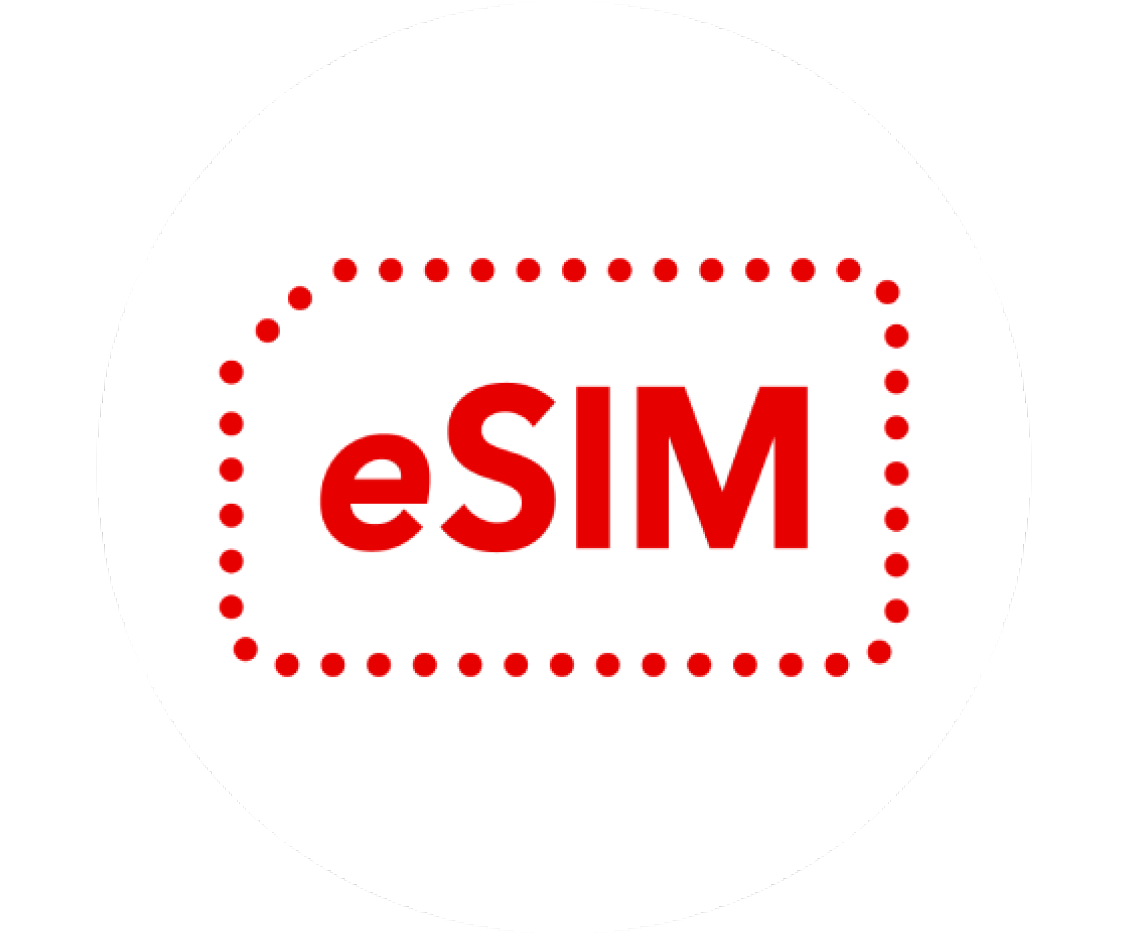 eSIM icoon