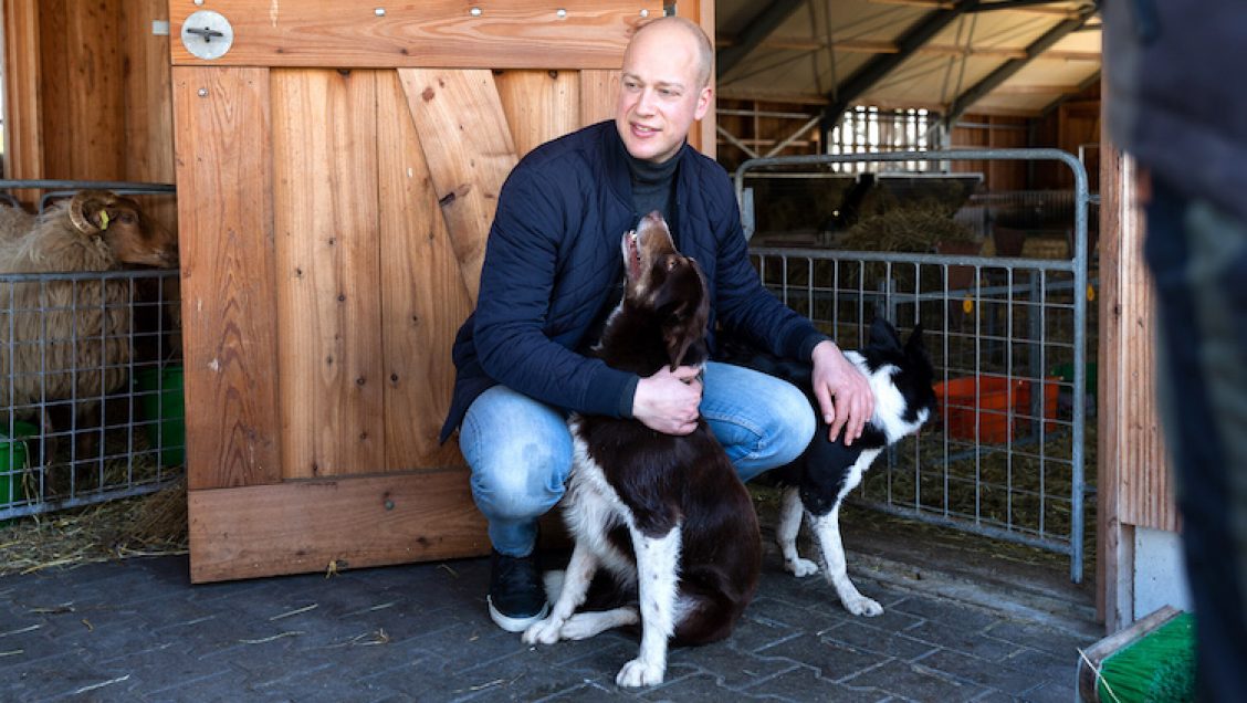 FFtF: Hoe tech-business Bazoeki handel in pups transparant maakt