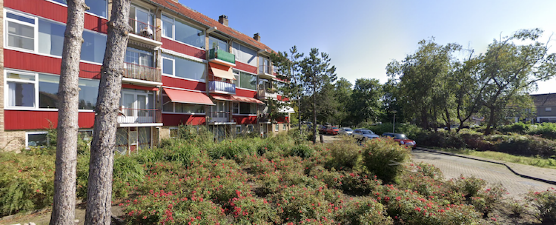 Data voor noppes: leer meer over postcodes!