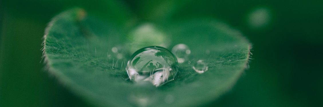 FFtF: Omarming digitalisering én ‘groen’ maakt bedrijven sterker en succesvoller