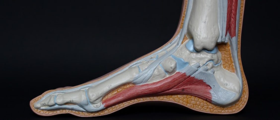 Betere dienstverlening in de orthopedie
