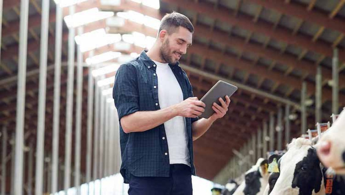 IoT en smart farming