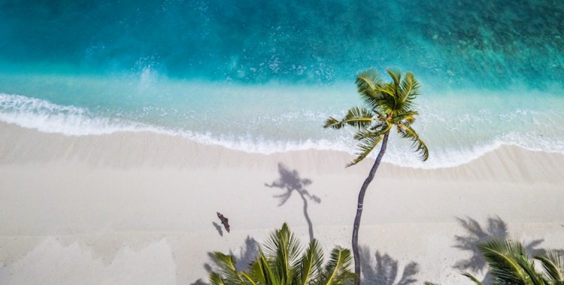 Vakantieplanning die iedereen past