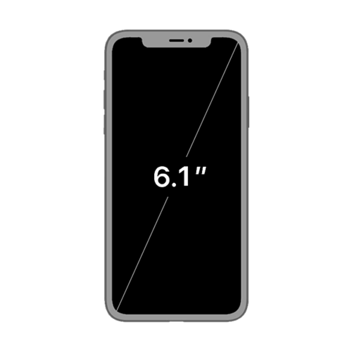 iPhone 11 grootte