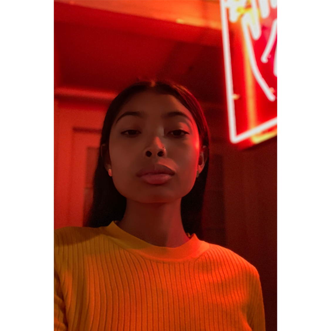 Vlogs