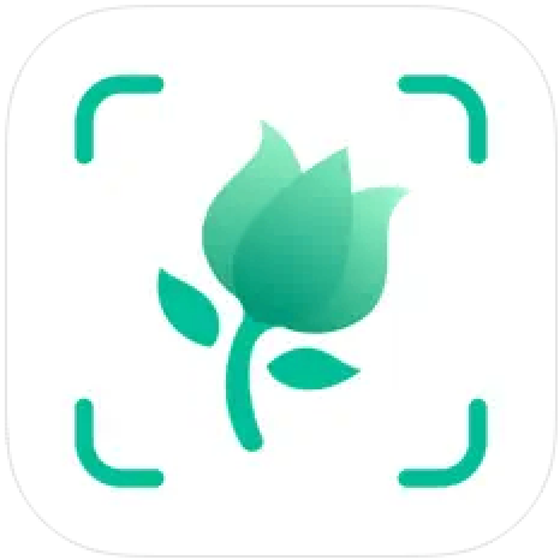 PictureThis App