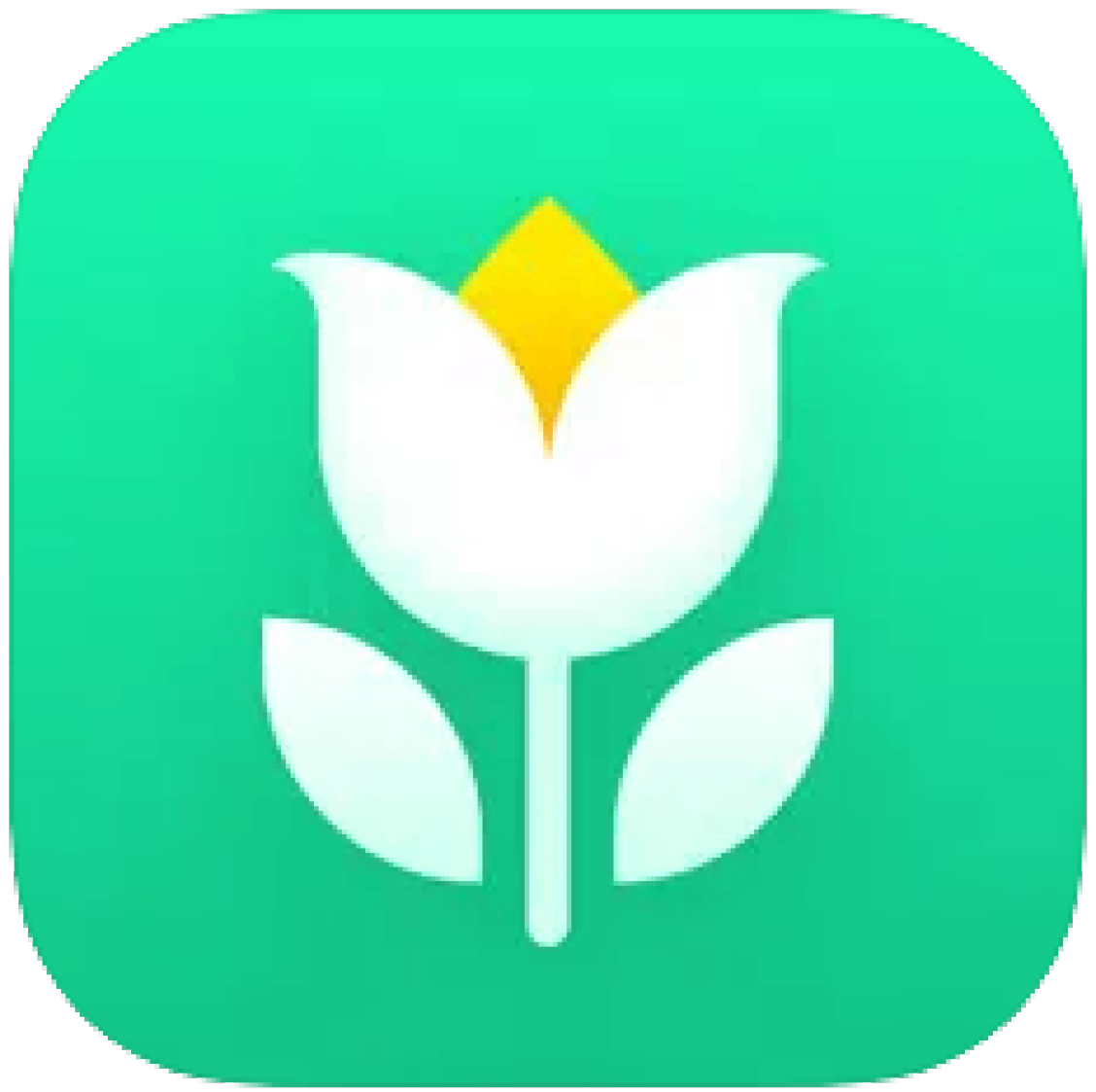 Plant Parent App