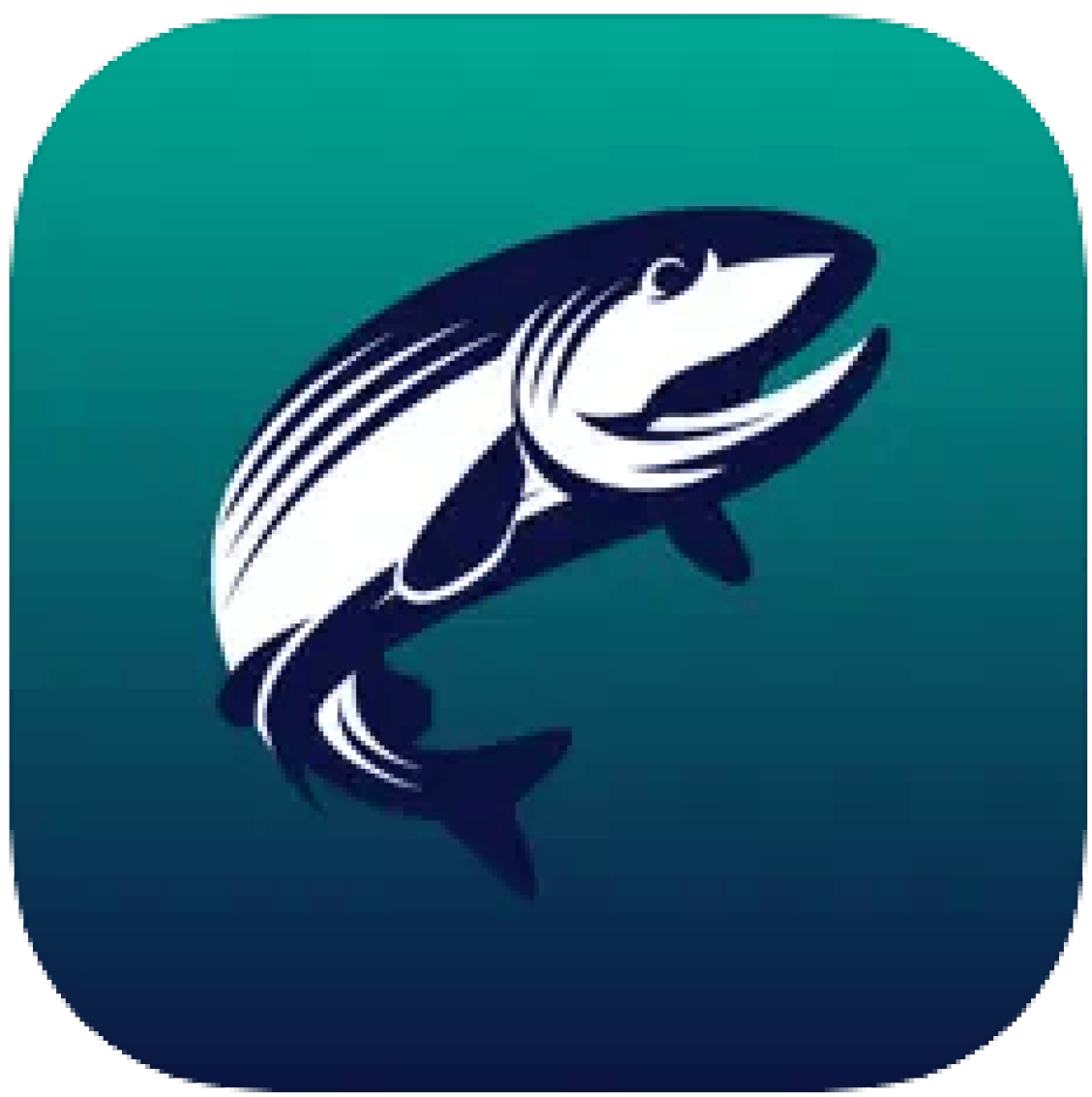 MijnVISmaat App