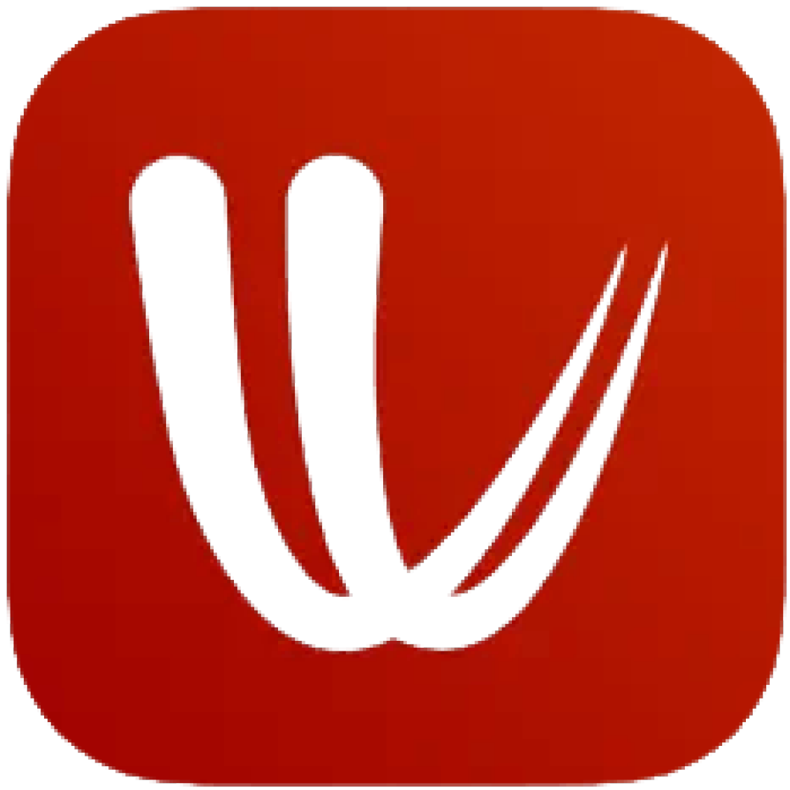 Windy.com App