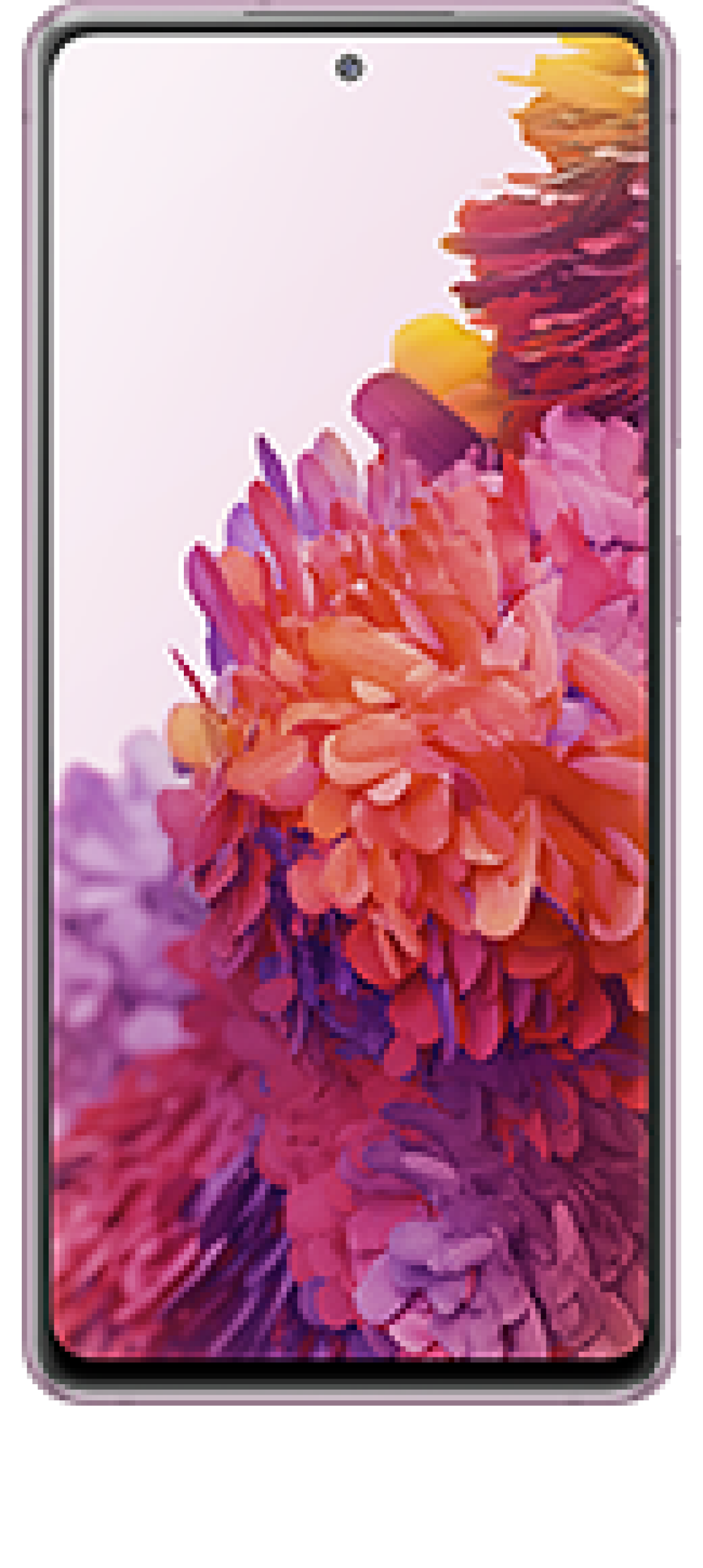 Galaxy S20 FE